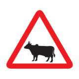 Cattle crossing Sign